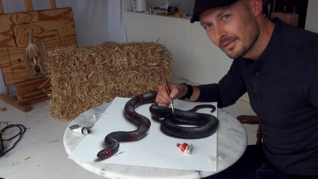 drawing snake pabst painting 3d illusion.jpg