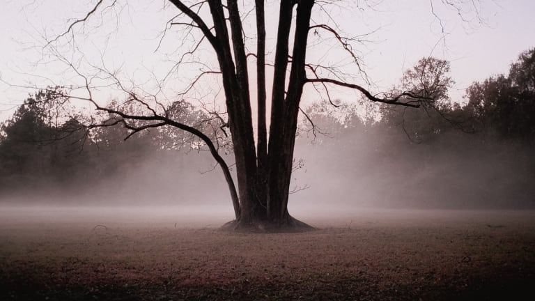 'True Detective' Vibes Fill This Beautiful Deep South Photoset