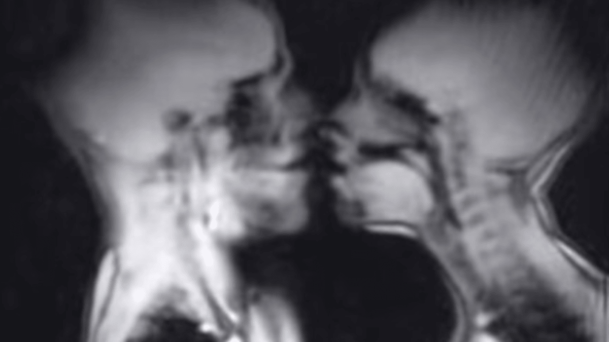 This Is What Sex (And Other Things) Look Like Inside An MRI Machine - Airows