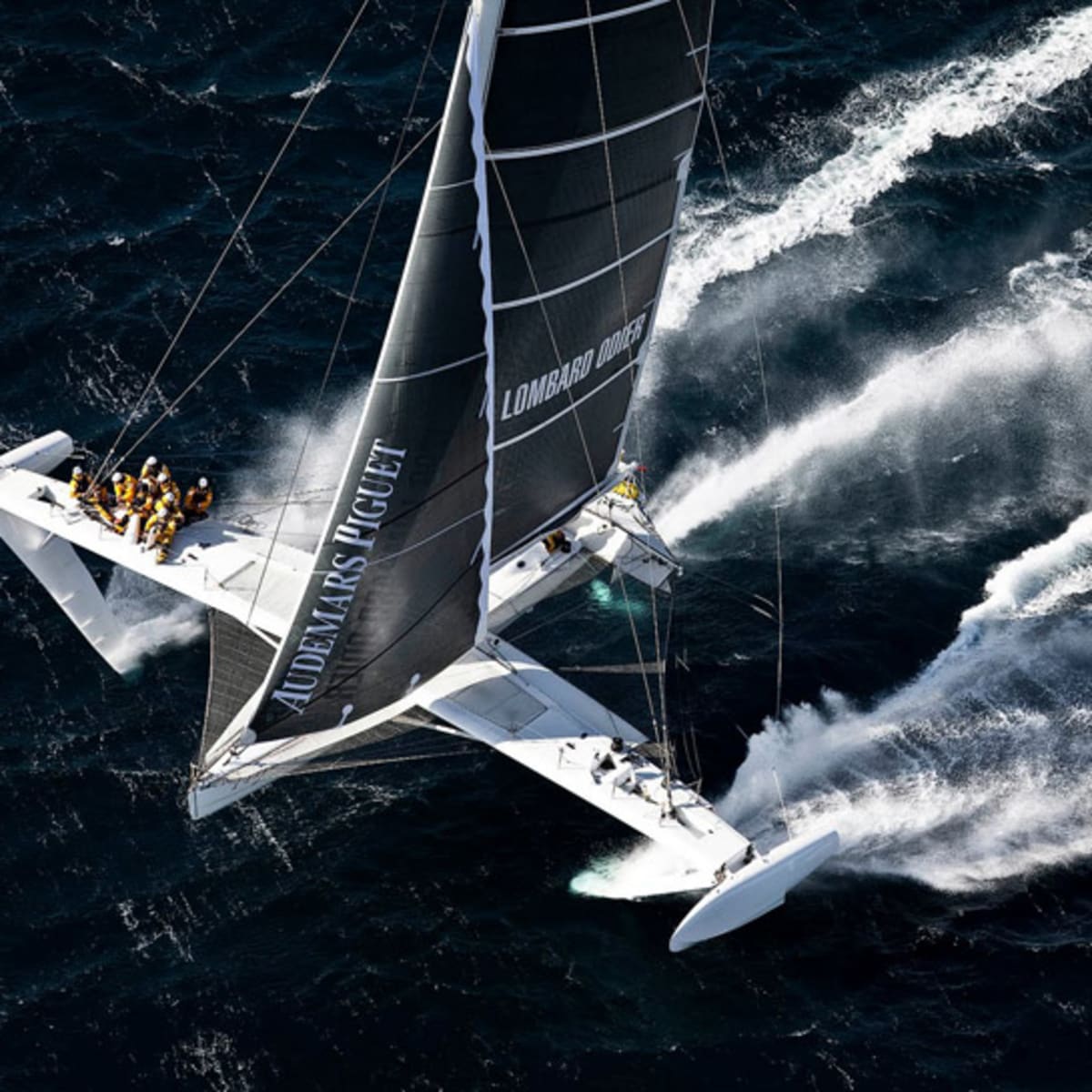 Fastest sailboat cheap