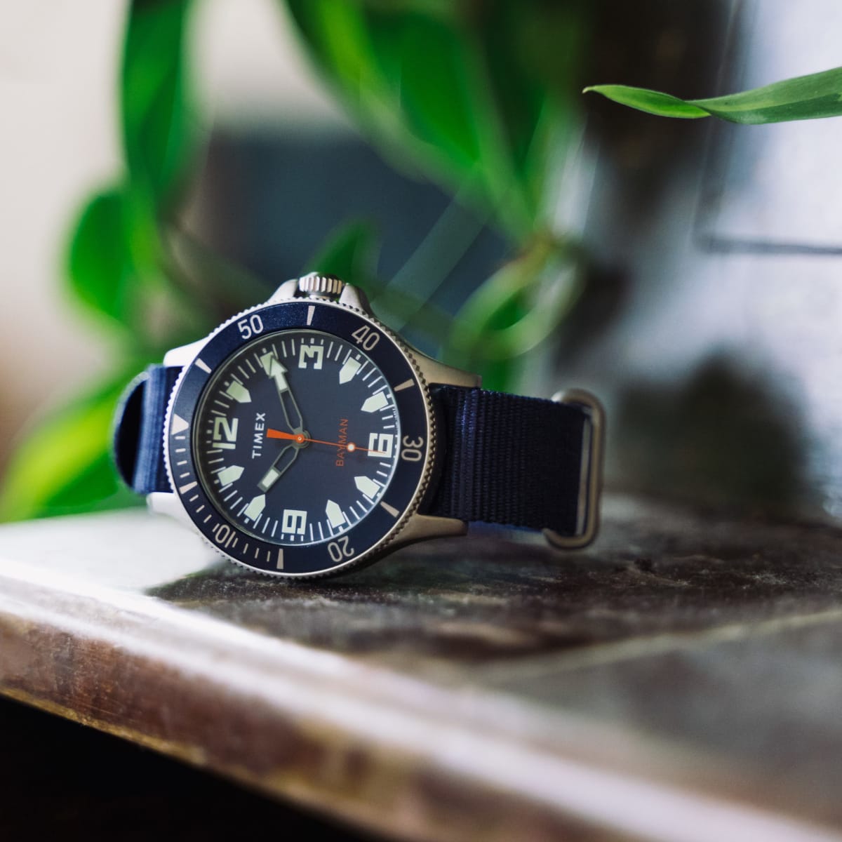 Timex x greats top