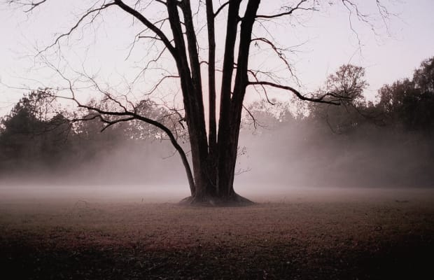 'True Detective' Vibes Fill This Beautiful Deep South Photoset