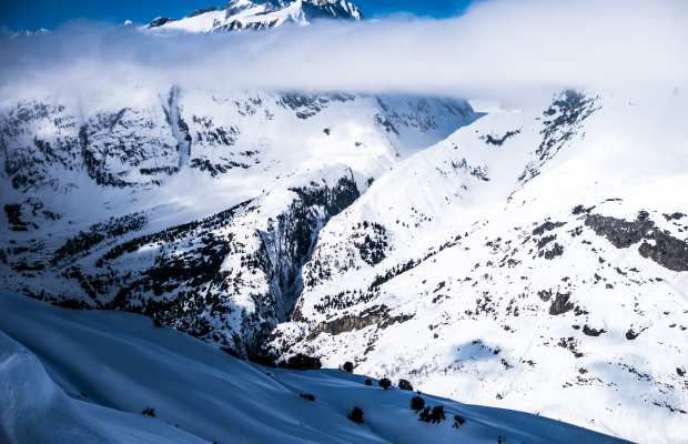 A Love Letter to Winter