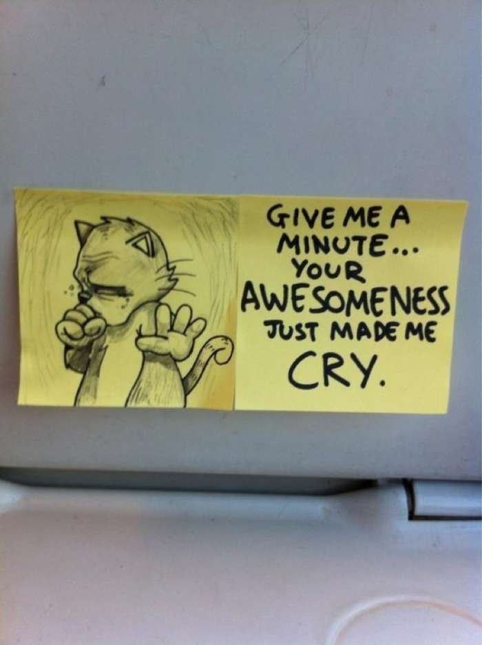 These Hilarious Motivational Cat PostIt Notes Are Awesome Airows