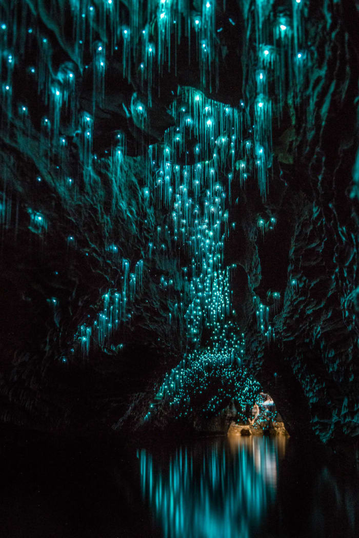 Glow Worms Turned A New Zealand Cave Into A Magical Sky - Airows