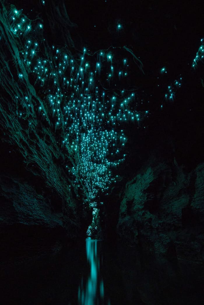 Glow Worms Turned A New Zealand Cave Into A Magical Sky - Airows