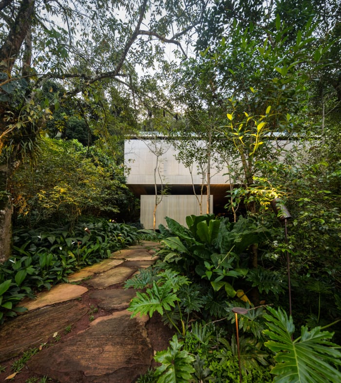 This Jungle Pad Is Absolutely Incredible - Airows