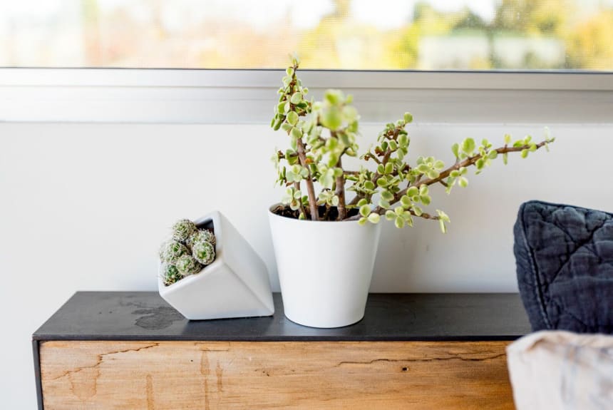 Video + Photo Tour Of An Incredible Sun-Drenched Loft In Los Angeles ...