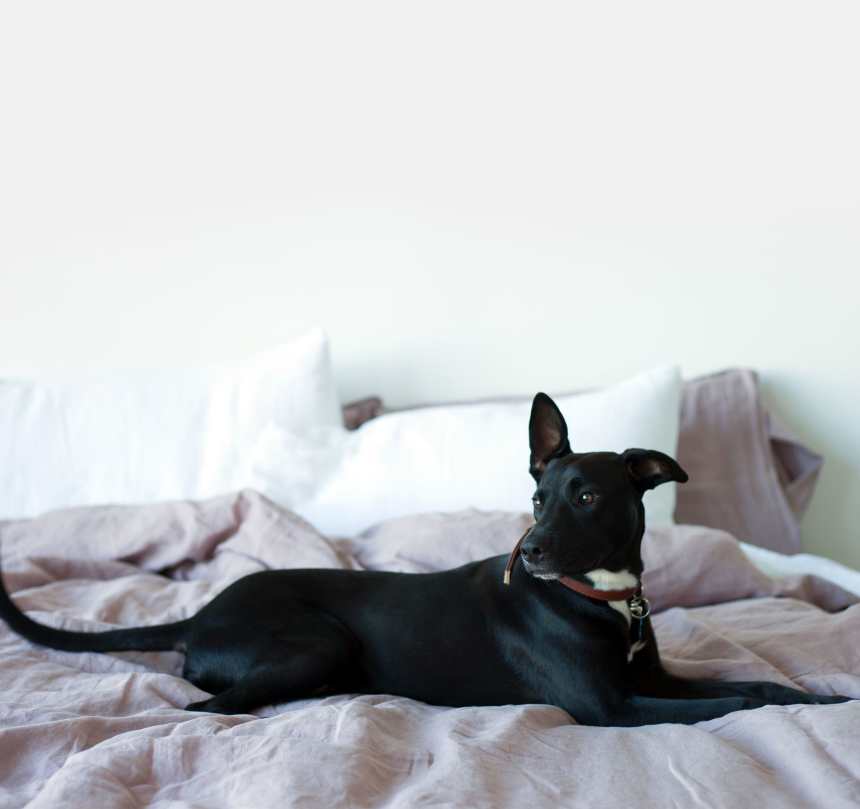 Never Make Your Bed Again Thanks To This Genius Sheet Set Airows