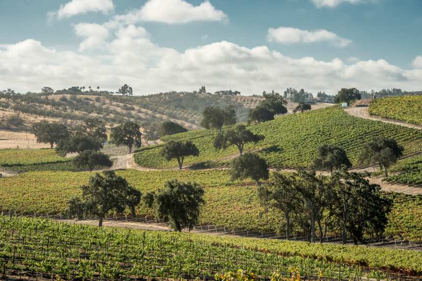 Stop Skipping the Beautiful Paso Robles Wine Region Airows