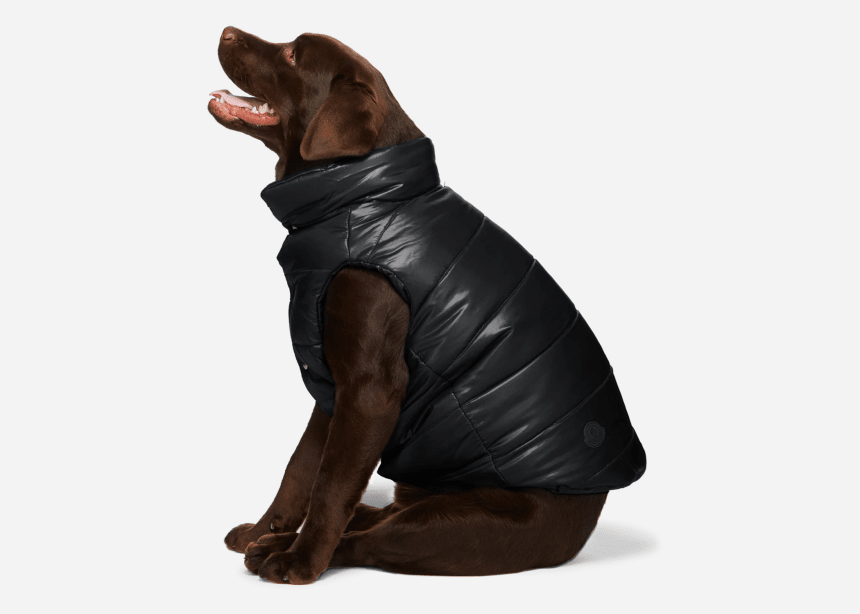 Moncler Releases the Ultimate Dog Jacket Airows