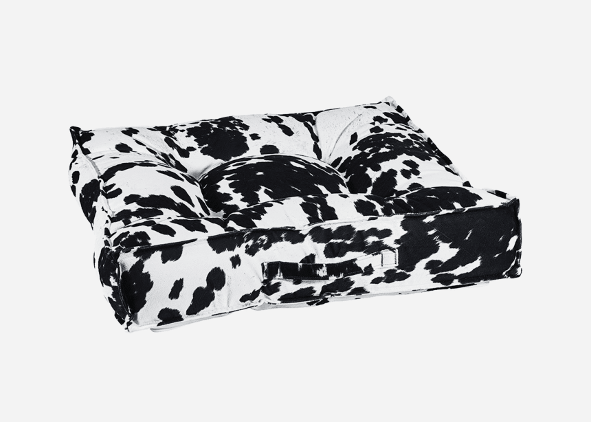 10 Stylish Dog Essentials for Your FourLegged Friend Airows