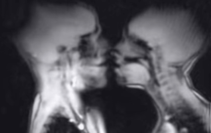 sex look like inside sex look like inside