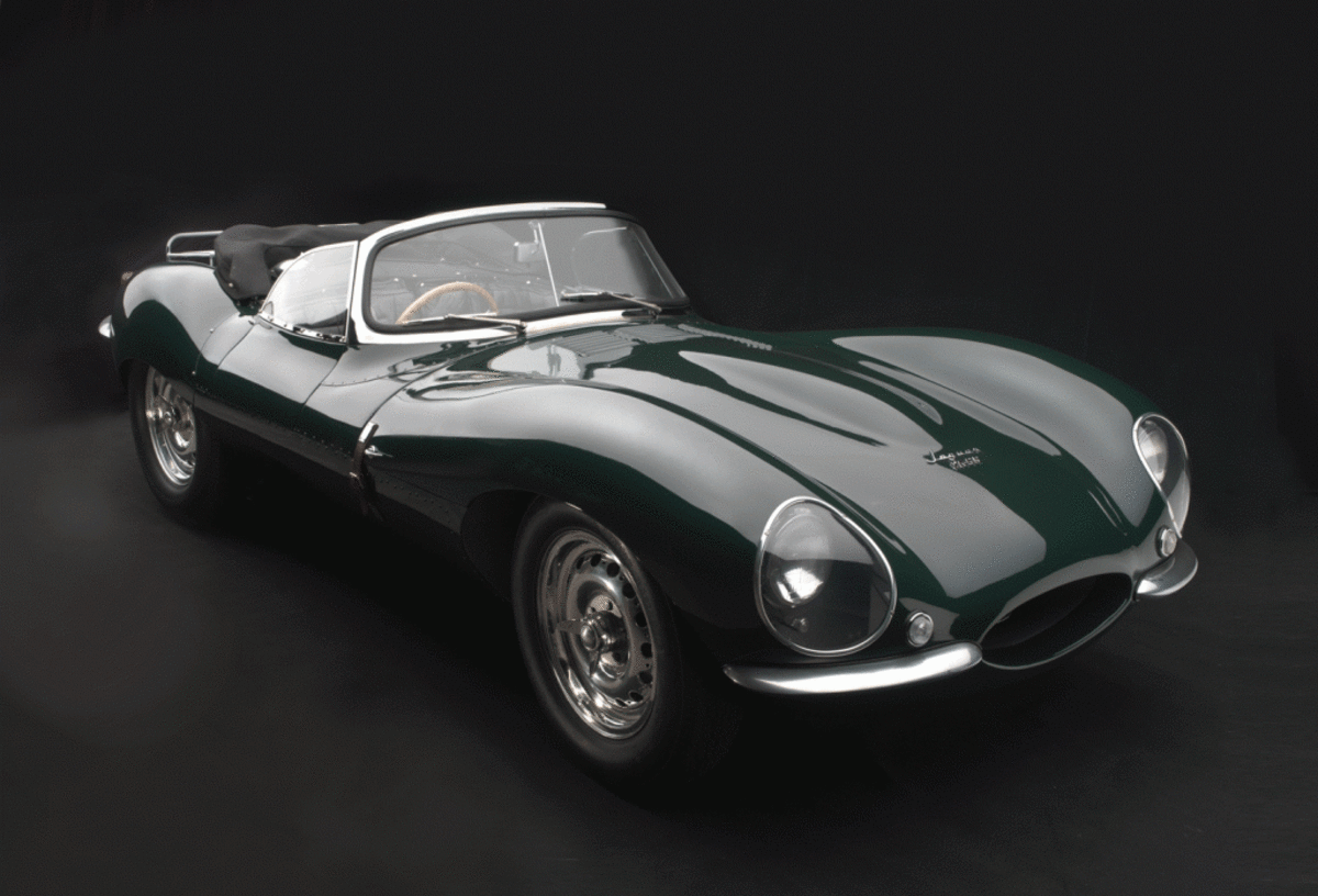 Jaguar-c-Peter-Harholdt-1024x696