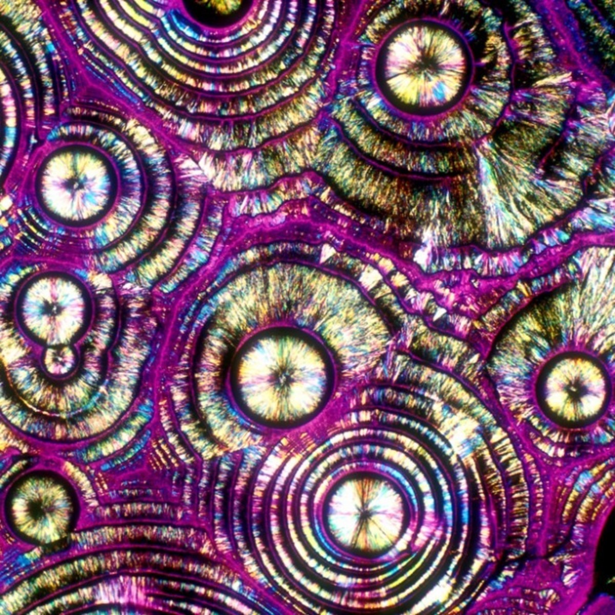 22 Different Types of Alcohol That Look Amazing Under A Microscope - Airows
