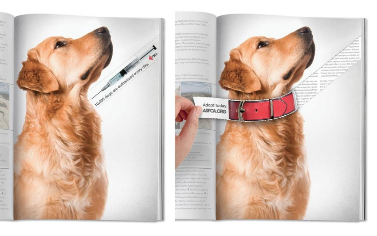 29 Brilliant Magazine Print Ads Airows
