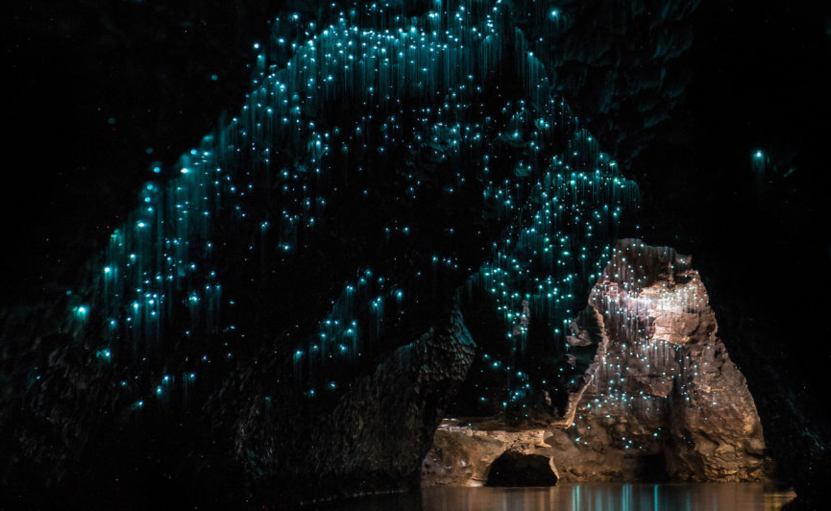 Glow Worms Turned A New Zealand Cave Into A Magical Sky Airows