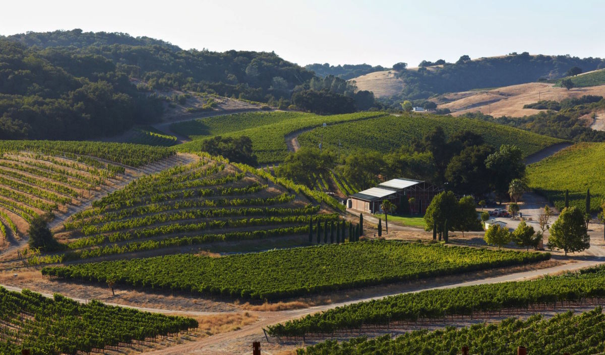 Stop Skipping The Beautiful Paso Robles Wine Region Airows