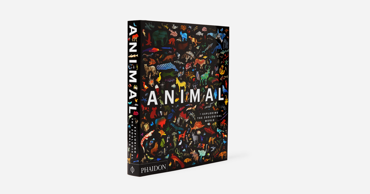 Celebrate Earth’s Creatures With This Beautiful Coffee Table Book - Airows