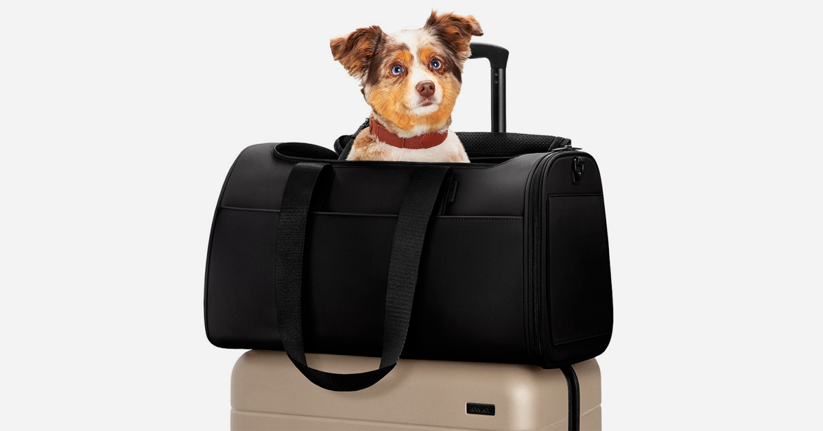 This Is the Best Pet Carrier You Can Buy for Travel, Hands Down Airows