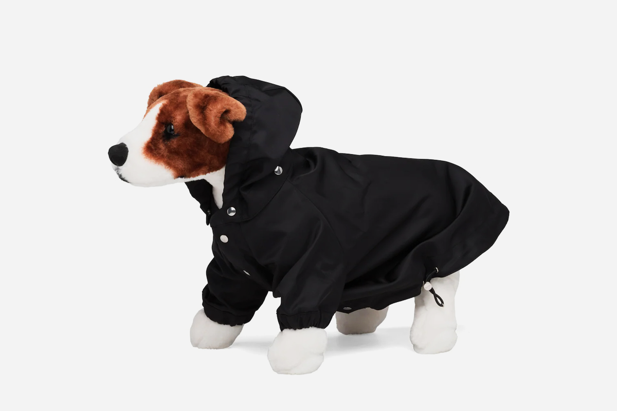 Prada Releases a Puppy-Catering Nylon Rain Jacket - Airows